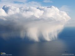 Tapeta National Geographic 686.jpg